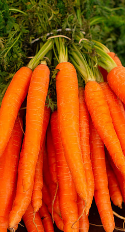 a bunch of orange carrots